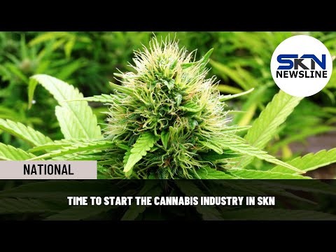 TIME TO START THE CANNABIS INDUSTRY IN SKN