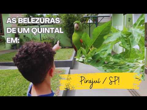 Vendo o tempo passar devagar em Pirajuí SP (Viagem de Motorhome: Giro SP-PR) #8