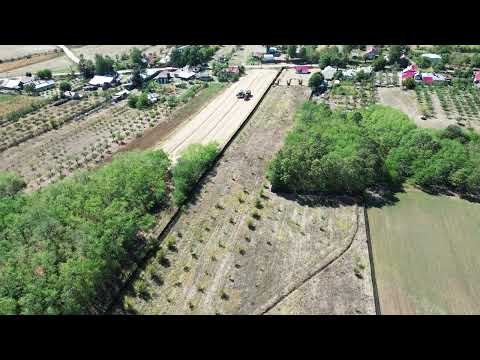 Livadă de nuci și casă nouă/afacere la cheie în com. Rociu, Argeș (autostrada A1 la 13 km)