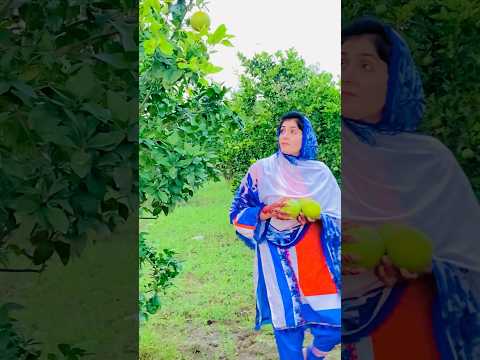 Village girl and fresh fruits in garden #villages #villagelife #village #tractor #cutebabies #cow