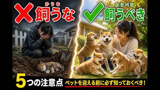 この5つを知らずにペットを飼わないでください