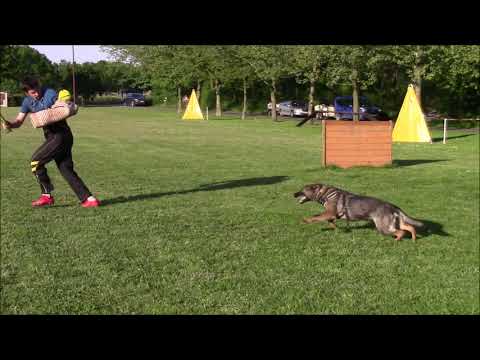 Yennie z Jukasu - protection - 13 months