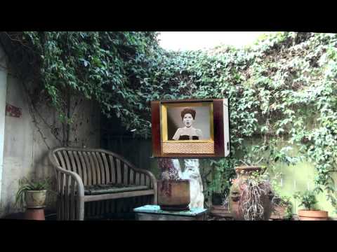 Tiger Club - Habanera