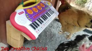 animales gallinas cantando