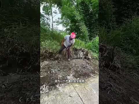 这到底是怎么回事呢 #有趣