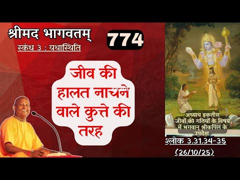Day 774 | Srimad Bhagavatam | SB 3.31.34-35 | Das Gadadhar Das | 26-10-25 |#bhagavatam #श्रीमद्भागवत