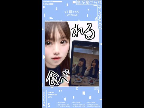 🍭 963、100年後の世界を描いた「魚が食べられるなくなる未来」MV公開！ - Pop'n'Roll(ポップンロール)