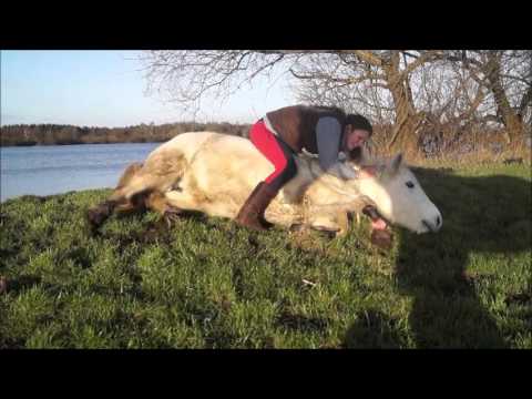 You belong to the wild