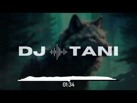 Lawstylez, dj tani & Tommy Tran - Wolves [Official Visualizer]