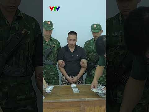 Bắt giữ người vận chuyển gần 400 tờ 100 USD nghi tiền giả | VTV24
