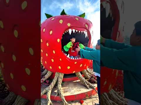 Awas anak kecil itu dimkan rumah monster strawbery