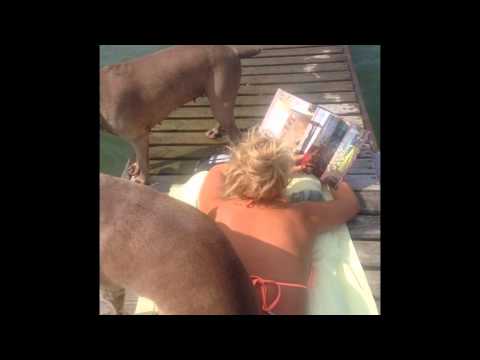 Sinnliga rum by Lulu Carter