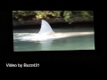 Theme Park History 2 JAWS