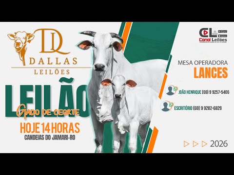 LEILÃO GADO DE CORTE DALLAS LEILÕES - Candeias do Jamari-RO | 03/03/2026