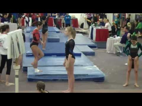 Sophie Brink - Level 9 PA States Vault - SCORE: 9.075