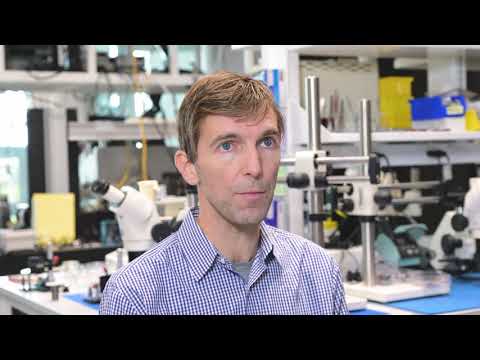 RoboBee Review Video 2