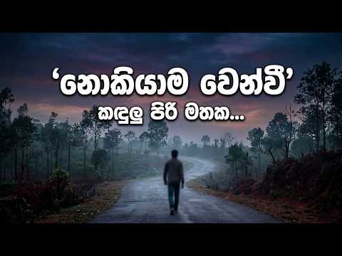 නොකියාම වෙන්වී - Nokiyama Wenwee