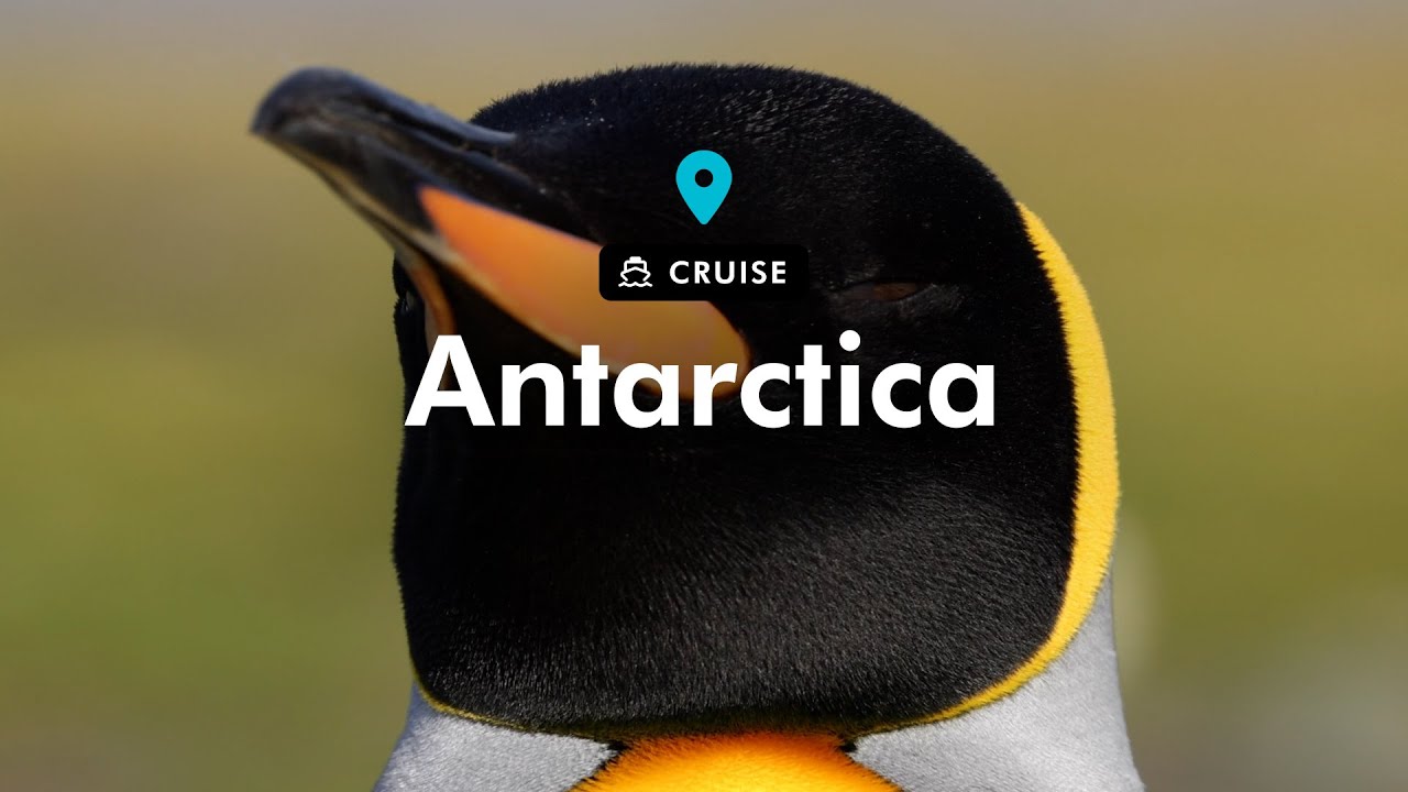 Video: Be immersed in the wonder of Antarctica. Be immersed in the wonder of Antarctica.