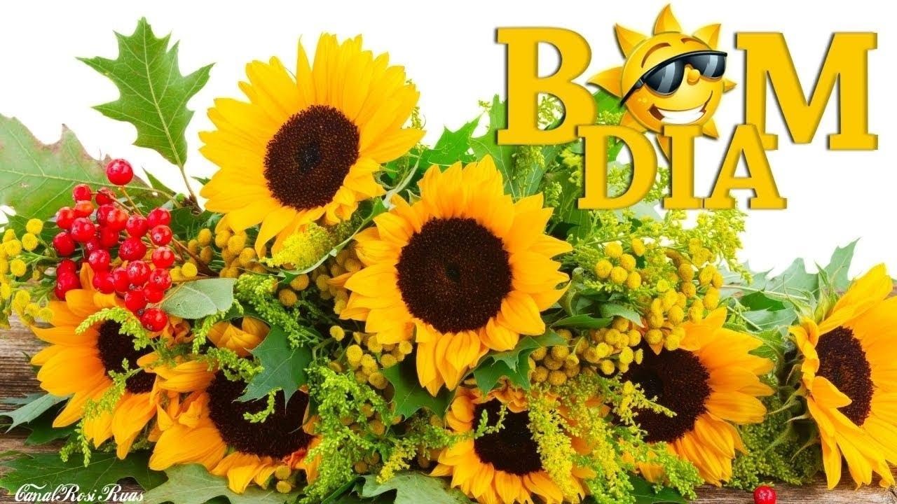 Bom Dia Flor do Dia / Feliz Terça Feira! Lindo Vídeo!