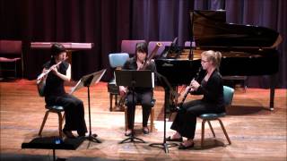 Gaspard Kummer. Trio for Woodwinds