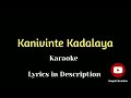 Kanivinte Kadalaya - Karaoke with Lyrics|Unplugged Karaoke|SarjasAli|Shabeer|Ente UmmaAlbum|Sangeeth