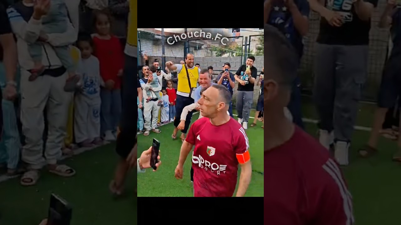 قطة طريفة احتفل الأسطورة شوشع😱😱😱#story #football #funny #shorts #song #brasil #المغرب #brasil