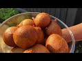 HOW TO MAKE THE BEST PUFF PUFF AMAGWINYA FATCAKES VETKOEKS