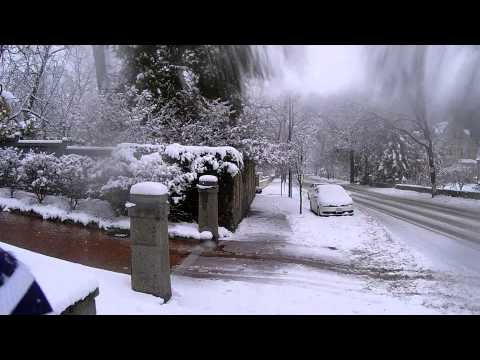 Running on Brattle Street in Cambridge