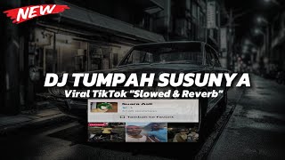 Download lagu Dj Tumpa Susunya | Cakep Tapi Sayang Jadi Beban Keluarga Viral TikTok Slowed & Reverb mp3