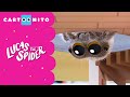 To Catch A Fly | Lucas The Spider | Cartoonito