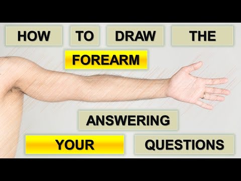 How to draw the forearm | Answering your questions