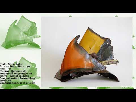 Feliza Bursztyn Arte en Colombia