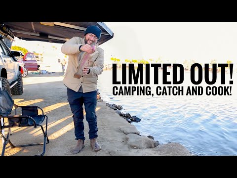 Trout Bite Was INSANE! Limited Out at Santa Ana River Lakes | Catch & Cook Camping
