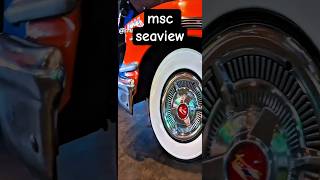 MSC SEAVIEW CRUZEIRO 13/12/25 ‎⁨@cruzeiros2025⁩ chegando navio #cruzeiro #google #cruise  #shorts