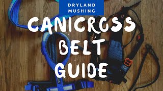 Choosing a Canicross Belt