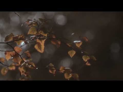 Early autumn light // piano practice