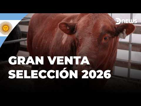 🇦🇷 Cabaña La Paz de Werthein realizó un gran evento del campo a la ciudad | DNews