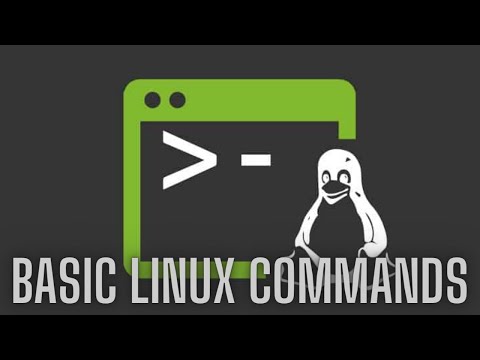 Introduction to the Linux Commands Tutorials for Dummies.
