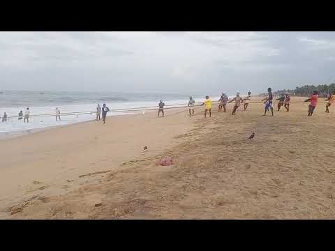 poovar beach LA fishing 🐠🐟🐠🐟🐠🐟