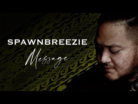 Spawnbreezie - Never Love Again (Audio)