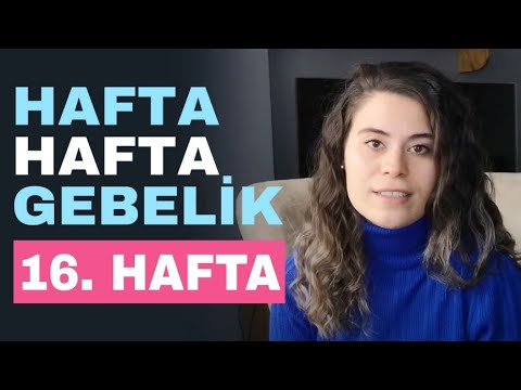 Week by Week Pregnancy - 16 Weeks Pregnant