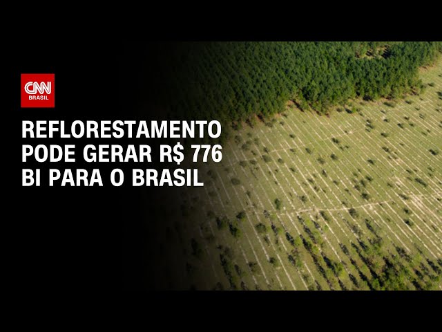 CNN Mais Verde: Reflorestamento pode gerar R$ 776 bilhões para o Brasil | CNN NOVO DIA