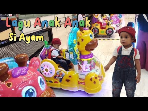 Lagu Anak Anak | Si Ayam Lucu Versi Terbaru