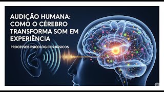 Audição Humana: Como o Cérebro Transforma Som em Experiência | Processos Psicológicos Básicos