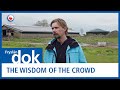 FRYSLÂNDOK:  The wisdom of the crowd