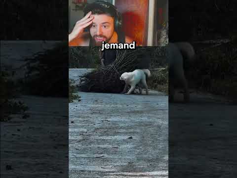Wieso macht der Hund das?😮