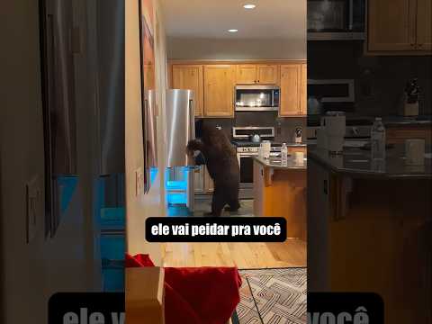 E SE... vc for Atacado por um Urso
