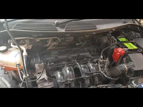 Ford Fiesta MK7 engine sound