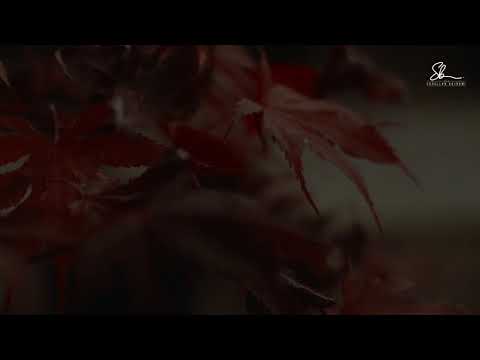 A e dini se kush është dijetar sipas këtij imami? - Hoxhë Sadullah Bajrami