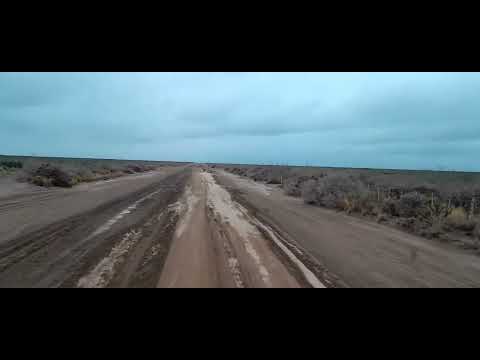 #camioneros #viral #video. Camino a PK45 Puelen la Pampa. Gasoducto NK. #argentina